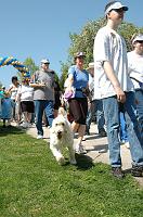 NAMIWalk07 (213) 